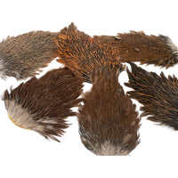 India Hen Back Saddles
