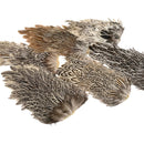 India Hen Back Saddles