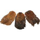 India Hen Neck Feather Patches