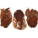 India Hen Neck Feather Patches