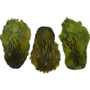 India Hen Neck Feather Patches