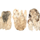 India Hen Neck Feather Patches