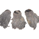 India Hen Neck Feather Patches