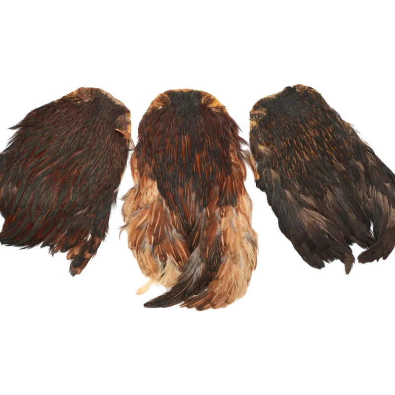 India Hen Neck Feather Patches