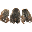India Hen Neck Feather Patches