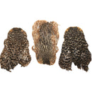 India Hen Neck Feather Patches