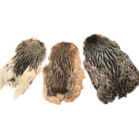 India Hen Neck Feather Patches