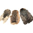 India Hen Neck Feather Patches