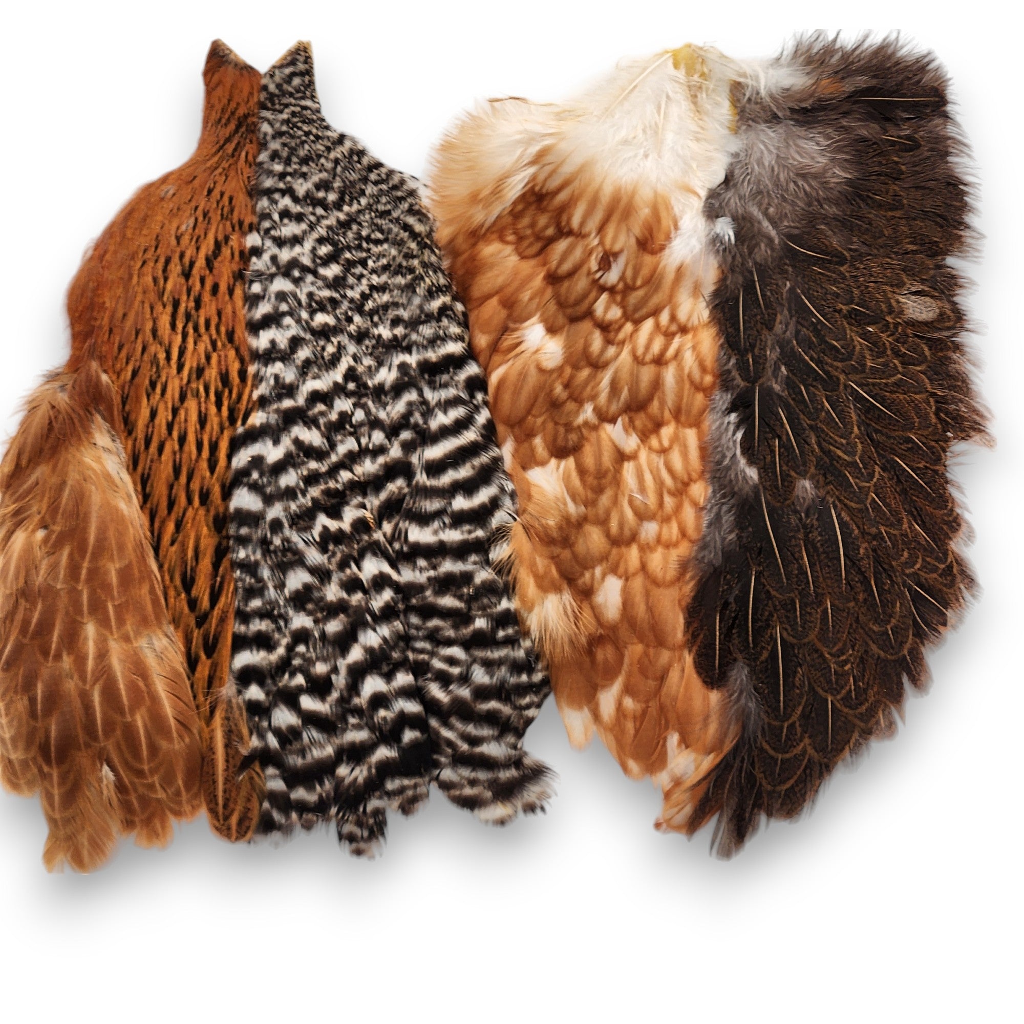 Whiting Farms | Introductory Hackle Pack Fly Tying Feathers – J