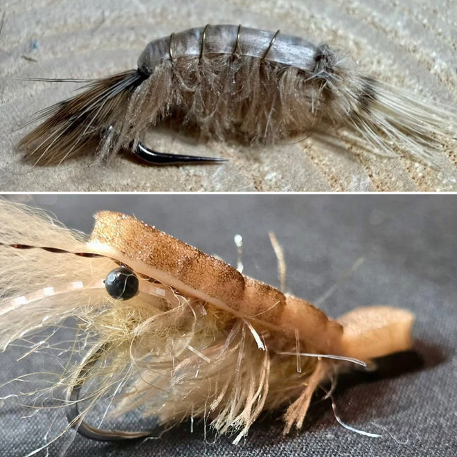 Crustachenille
