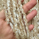 Atomic Egg Chenille
