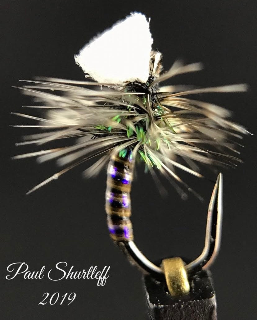 Sprout Midge Emerger