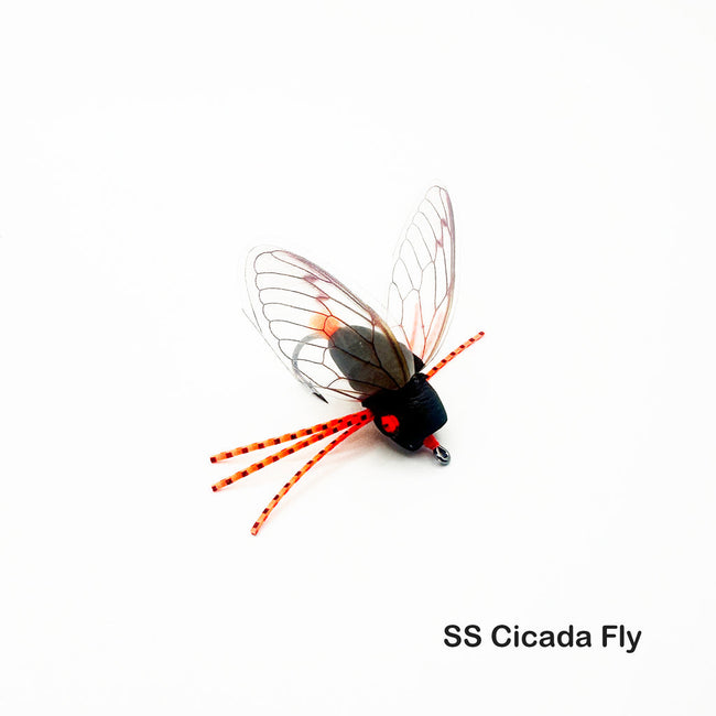Surface Seducer Cicada Wings