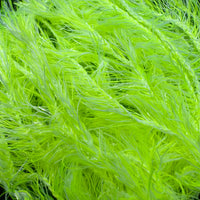 Two Tone Straggle Hackle
