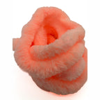 prawn