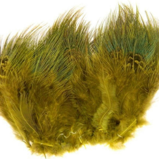 Ringneck Pheasant Strung Rump Hackle