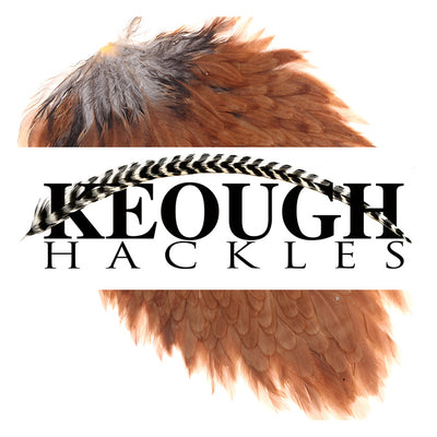 keough hackle for fly tying
