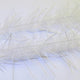 LLCB01-LLCrustaceanBrush-white_white