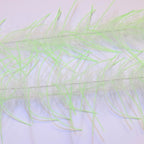 White / chartreuse