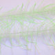LLCB04-LLCrustaceanBrush-white_chartreuse