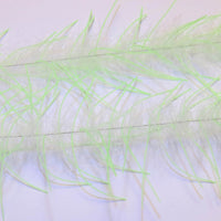 LLCB04-LLCrustaceanBrush-white_chartreuse