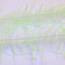 LLCB04-LLCrustaceanBrush-white_chartreuse