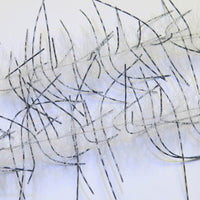 LLCB05-LLCrustaceanBrush-silvergreyandblacksilverb
