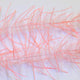 LLCB07-LLCrustaceanBrush-lightpink_fluoropink
