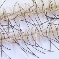 LLCB15-LLCrustaceanBrush-mulletbrown_brown