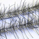 LLCB32-LLCrustaceanBrush-black_black