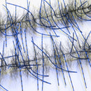 LLCB33-LLCrustaceanBrush-black_blueblackbar