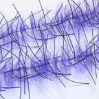 Dark purple / black