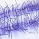 LLCB36-LLCrustaceanBrush-darkpurple_black