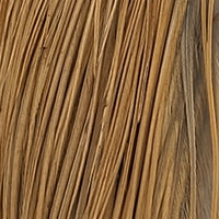 Lightginger_112619_ae2477e4-3cbe-4c2e-b0c4-0b35bca