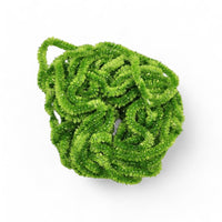 Lime_caddis
