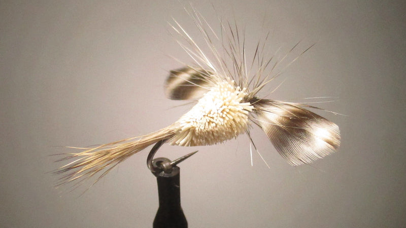 Michigan Caddis