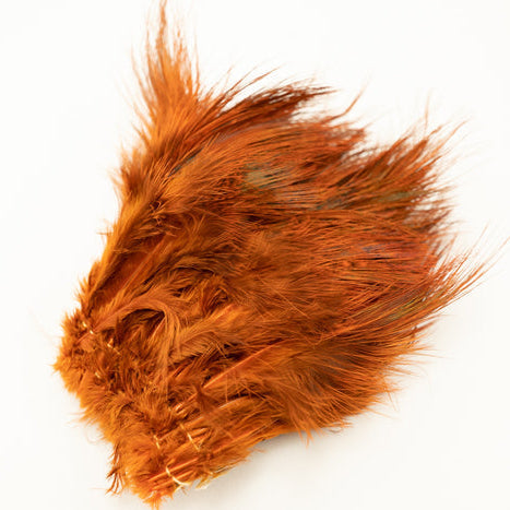 Ringneck Pheasant Strung Rump Hackle
