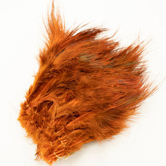 Ringneck Pheasant Strung Rump Hackle