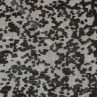 MTSS11