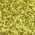 Golden Olive