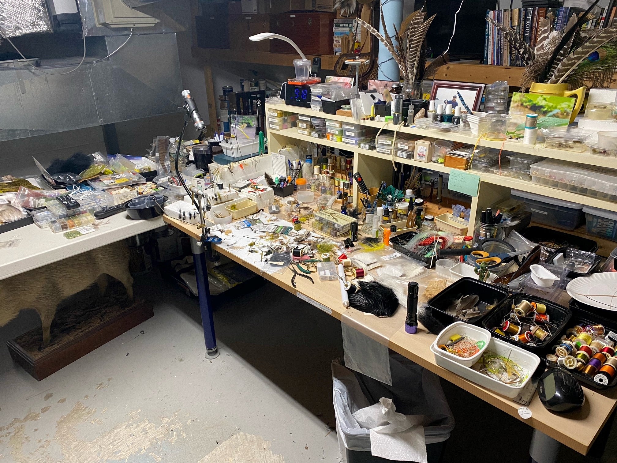 Martin_Benchoff
