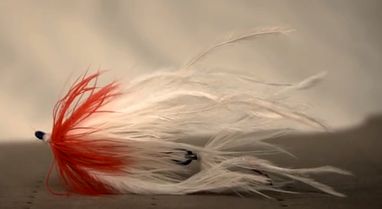 Matt Meahan's Steelhead Shank Intruder