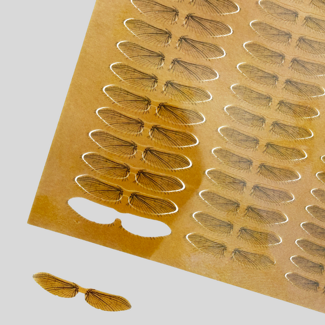 Surface Seducer Mayfly Wings