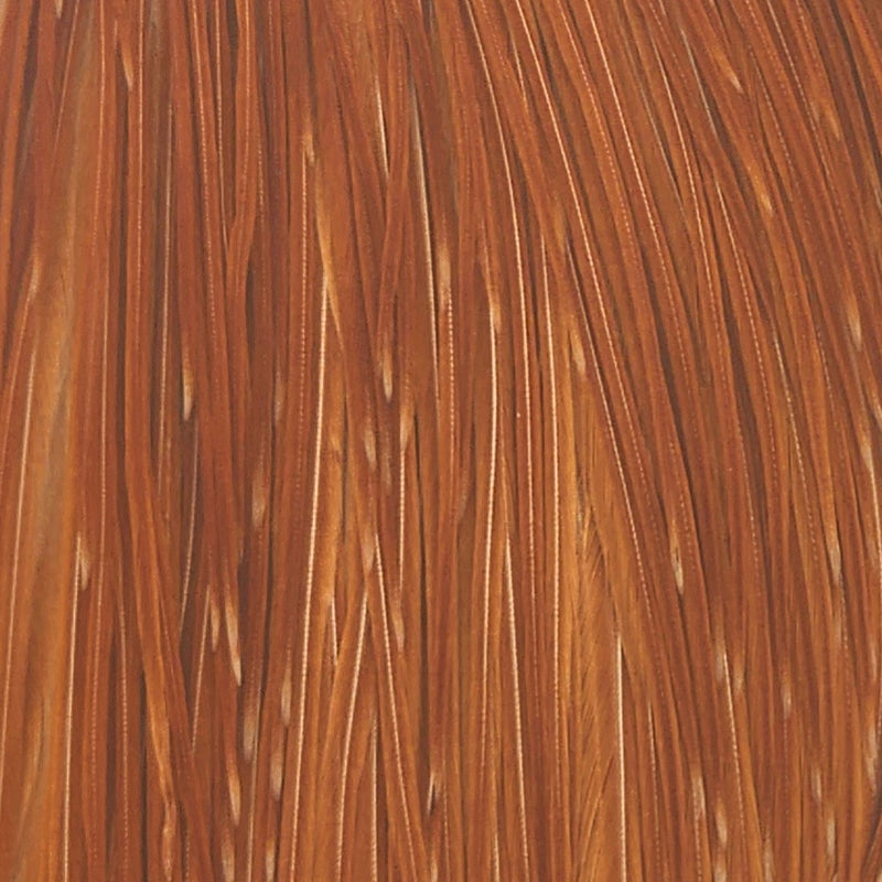 Mediumginger_112858_d4c7144c-77d7-4ee6-b60d-9b1cec
