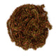 NEW-AGE-CHENILLE-REDS-OLIVE_9510023d-8f84-4d53-a05