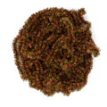 New Age Chenille - Medium