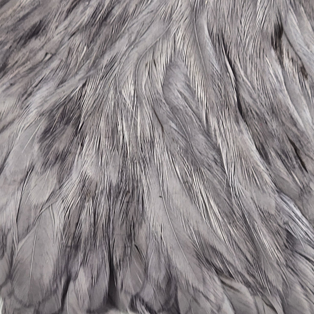 hareline-hen-cape_MEDU