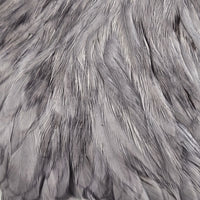hareline-hen-cape_MEDU
