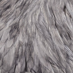 hareline-hen-cape_MEDU