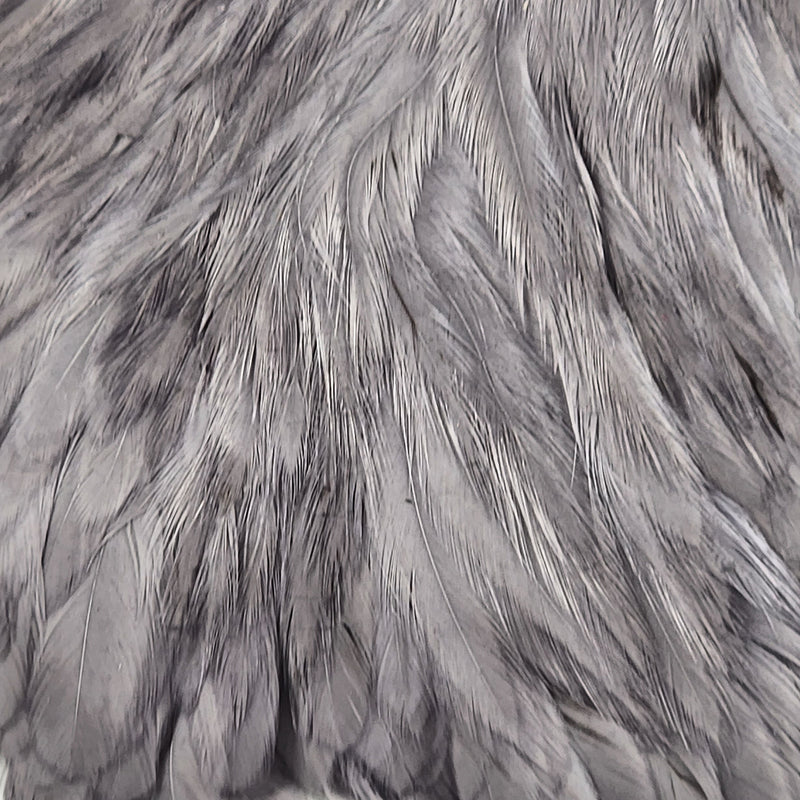 hareline-hen-cape_MEDU